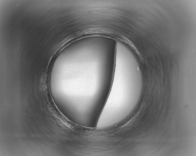 X0000076230786200609280946