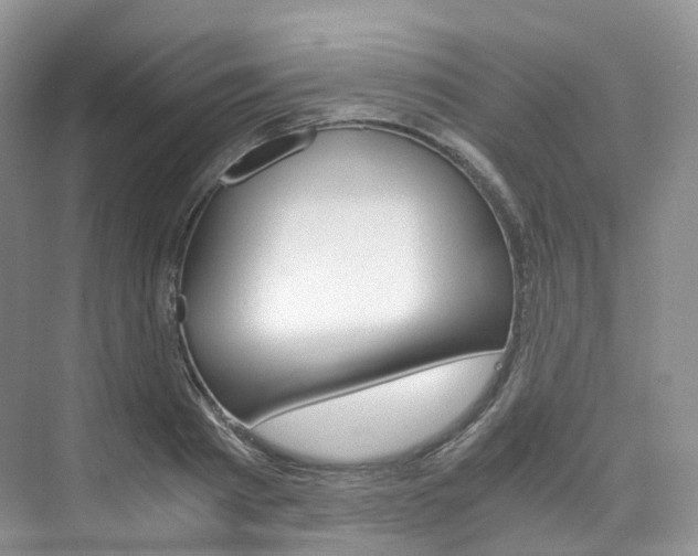 X0000076230793200609280946