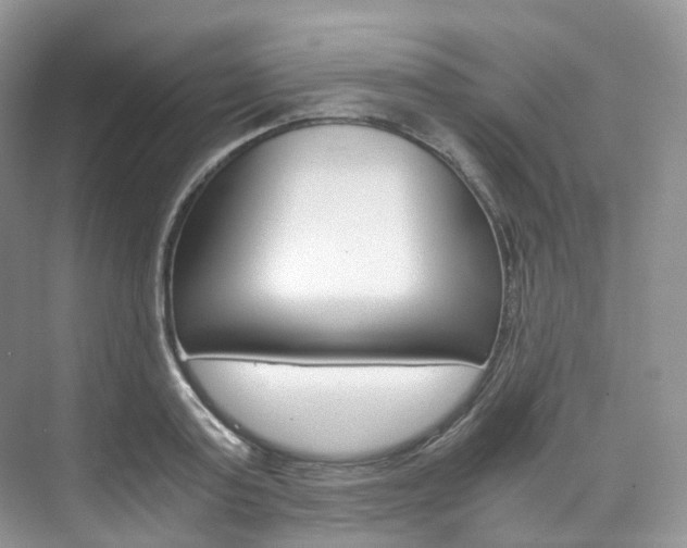 X0000076230795200609280946