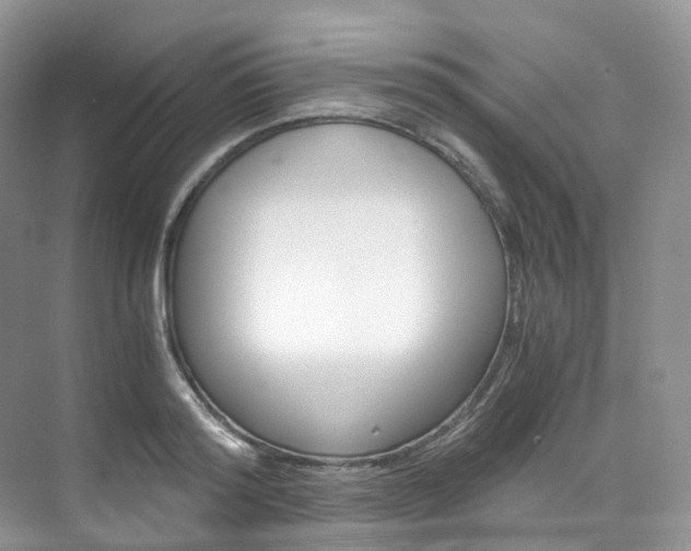 X0000076230796200609280946