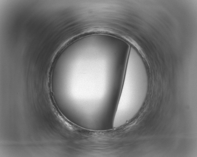 X0000076230799200609280946