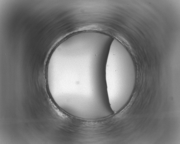 X0000076230800200609280946