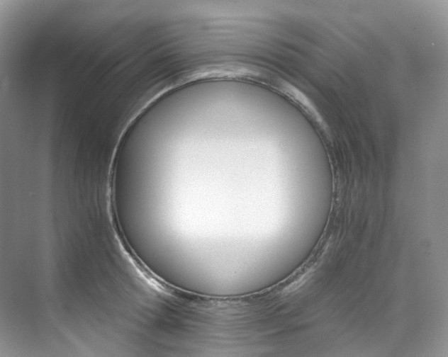 X0000076230802200609280946