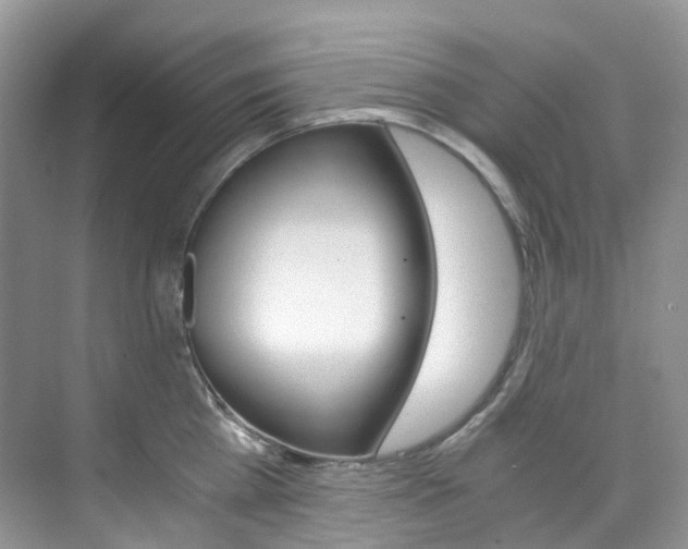 X0000076230809200609280946