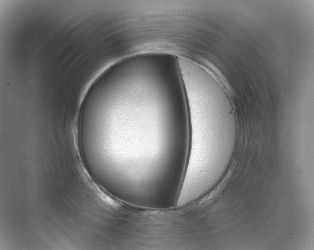 X0000076230812200609280946