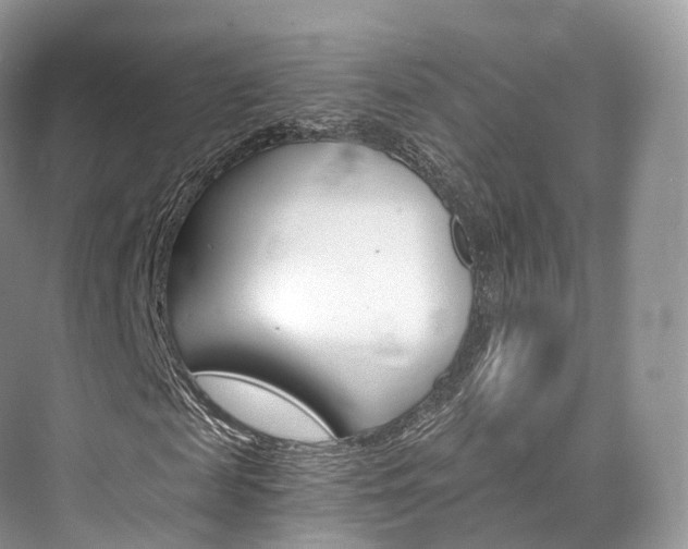 X0000076230817200609280945