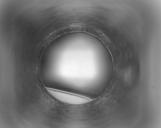 X0000076230821200609280945