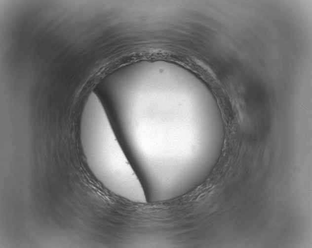 X0000076230823200609280945