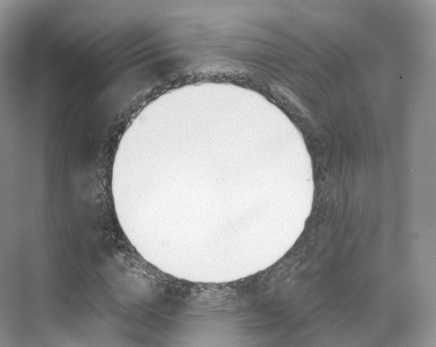 X0000076230824200609280945