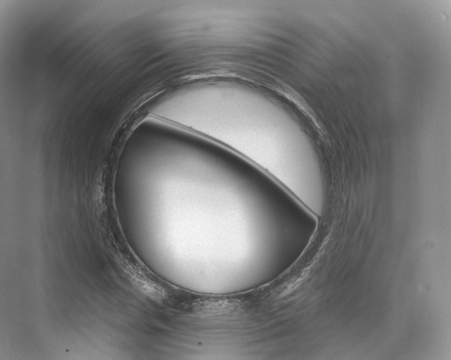 X0000076230826200609280945