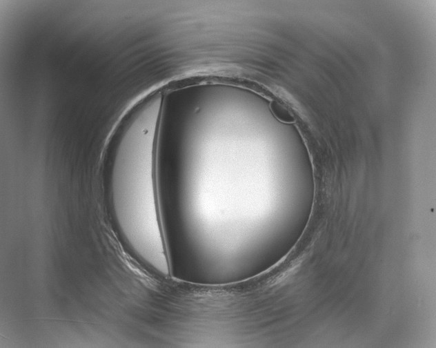 X0000076230830200609280945