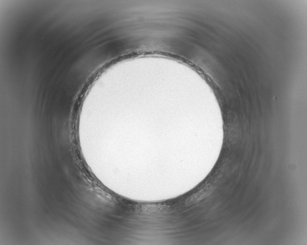 X0000076230832200609280945