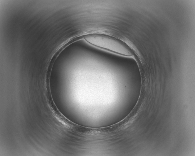 X0000076230834200609280945