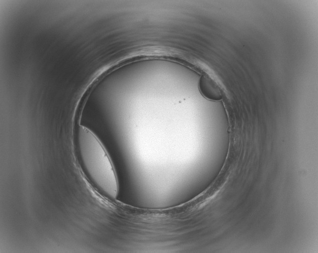 X0000076230837200609280945