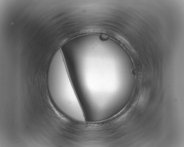 X0000076230841200609280945