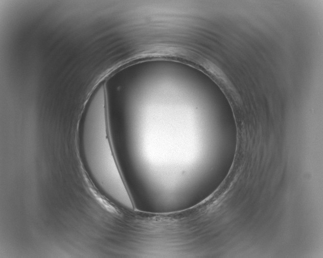 X0000076230842200609280945