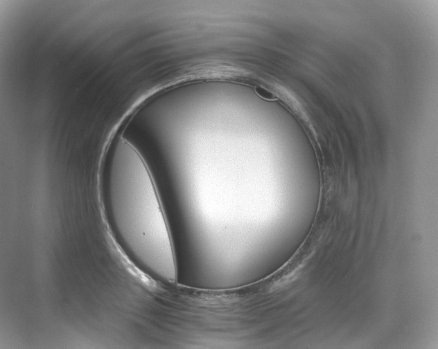 X0000076230843200609280945