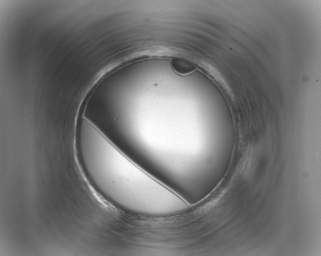 X0000076230845200609280945