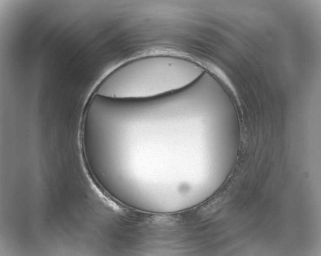 X0000076230847200609280945