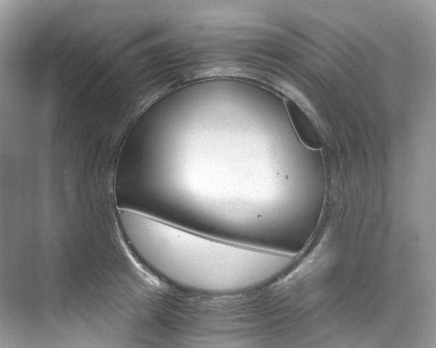 X0000076230849200609280945