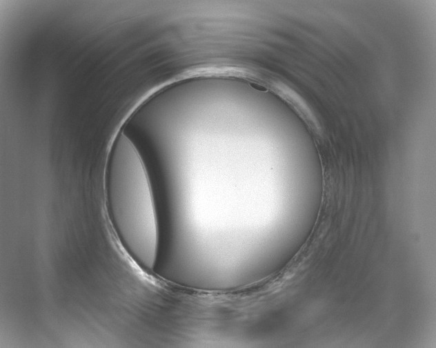 X0000076230852200609280945