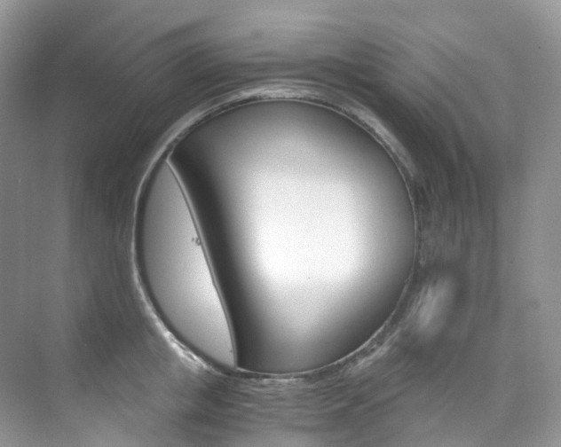 X0000076230853200609280945