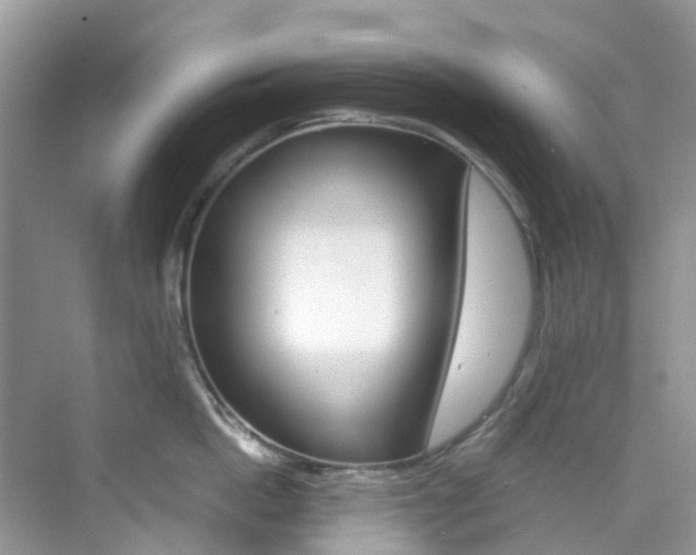 X0000076230862200609280945