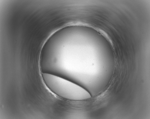 X0000076230863200609280945