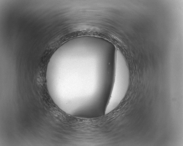 X0000076230869200609280945