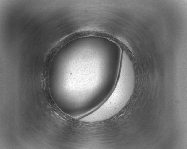 X0000076230872200609280945