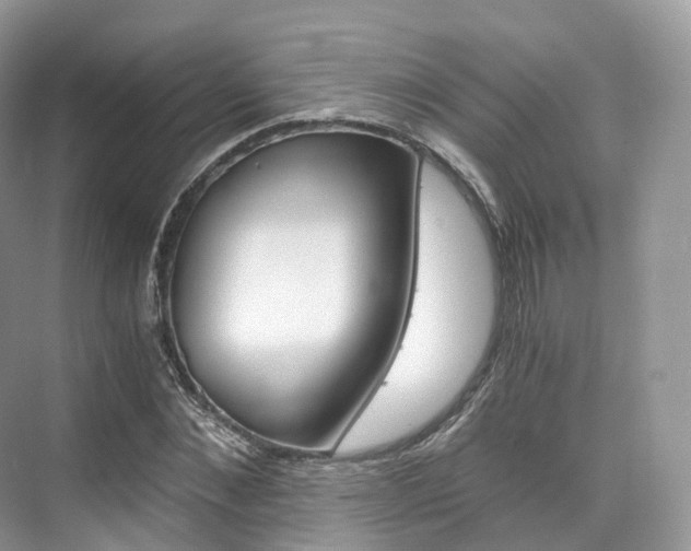 X0000076230876200609280944