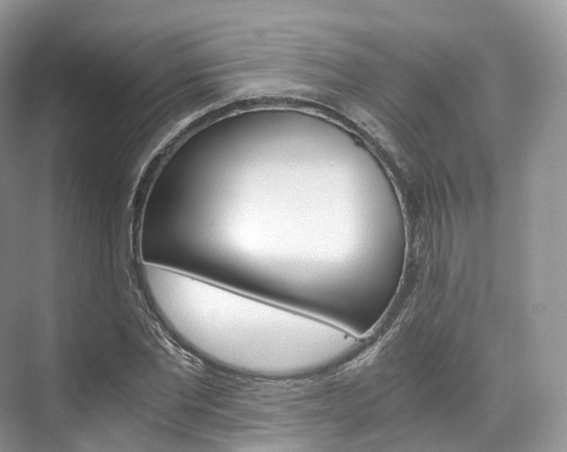 X0000076230877200609280944