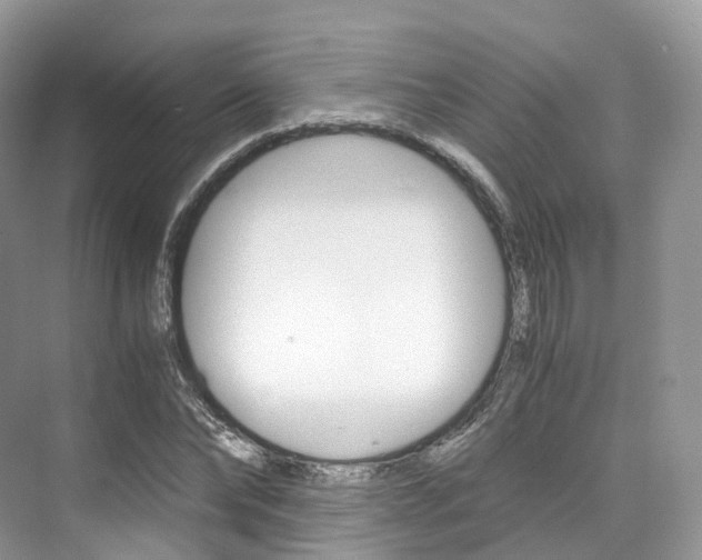 X0000076230878200609280944