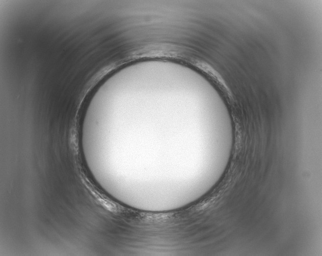 X0000076230882200609280944