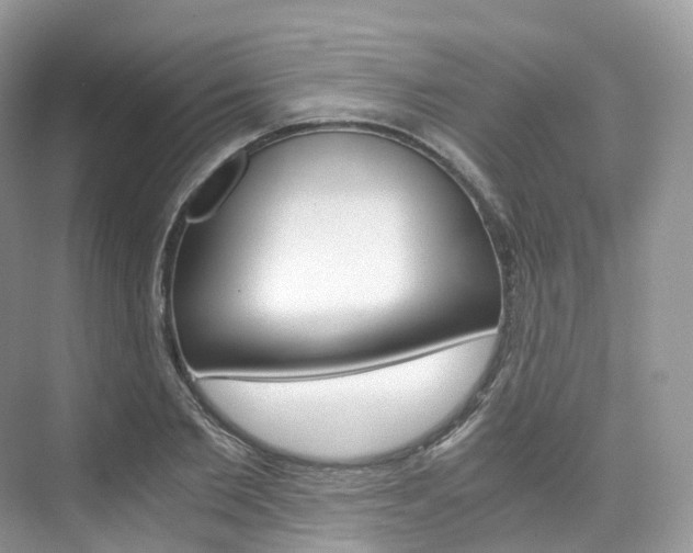 X0000076230885200609280944