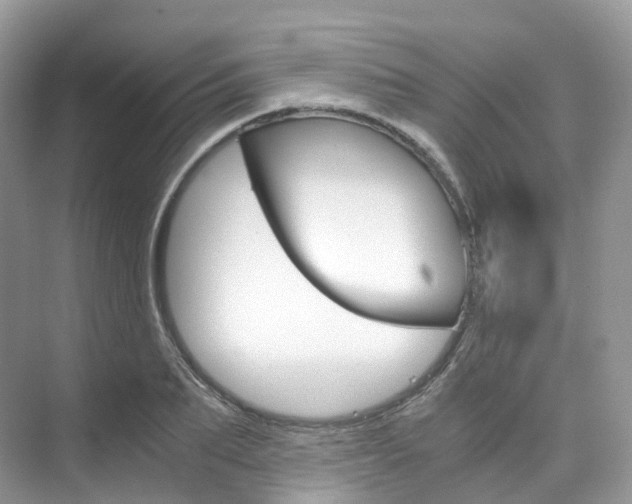 X0000076230887200609280944