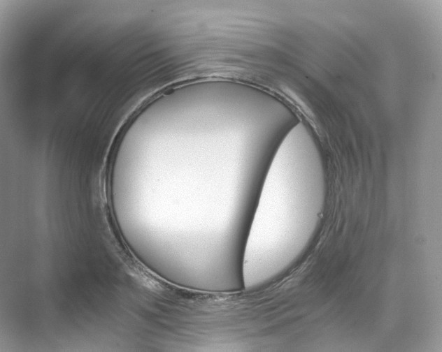 X0000076230891200609280944