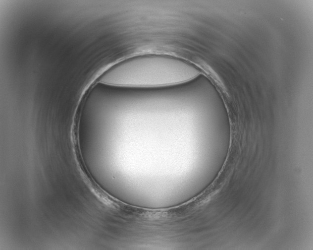 X0000076230893200609280944