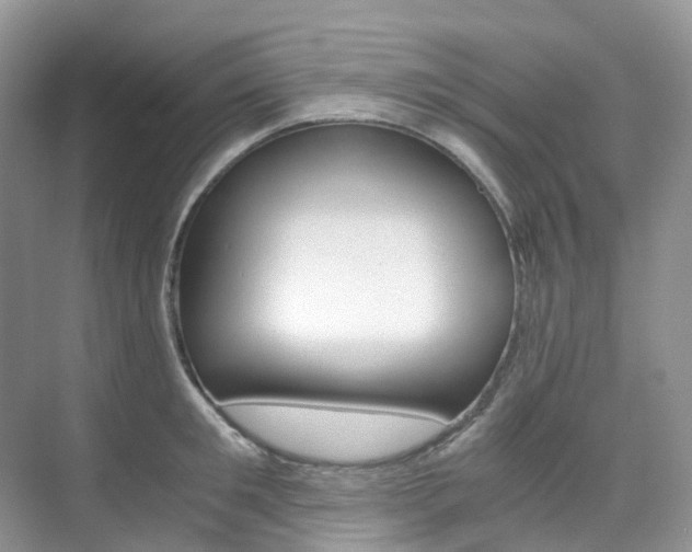 X0000076230901200609280944