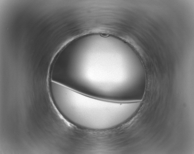 X0000076230902200609280944
