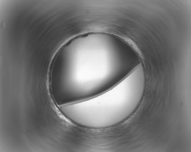 X0000076230904200609280944