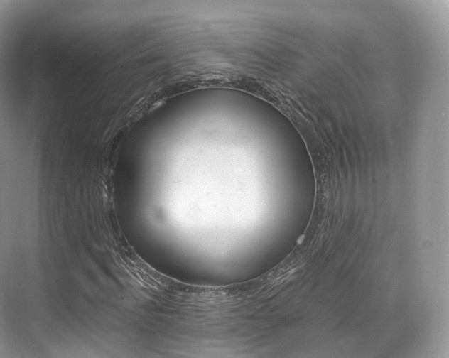 X0000076230916200609280943