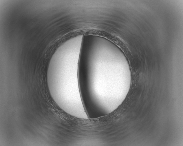 X0000076230919200609280943