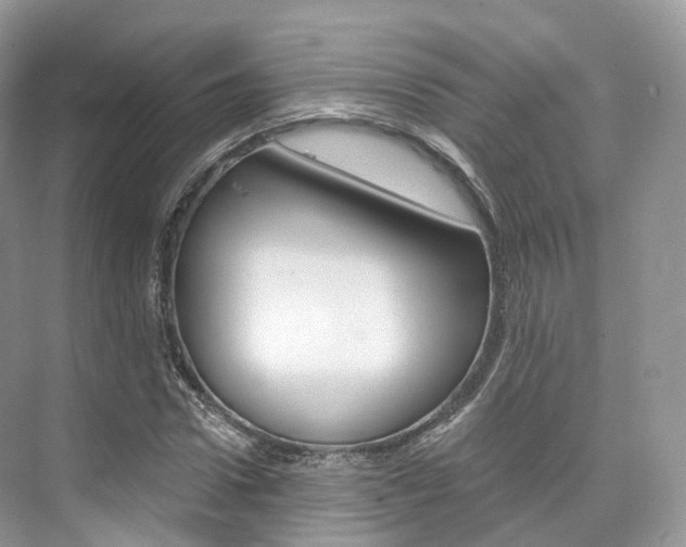 X0000076230922200609280943