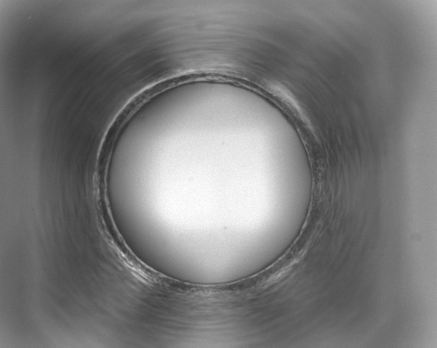 X0000076230924200609280943