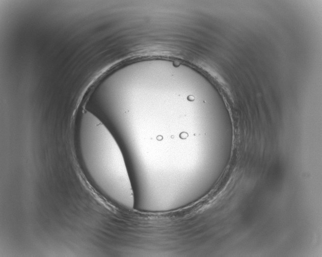 X0000076230933200609280943