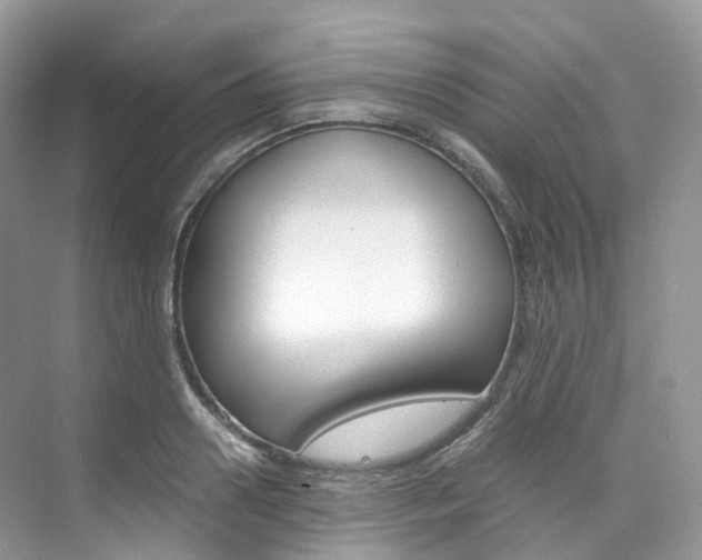 X0000076230938200609280943