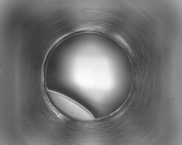 X0000076230940200609280944