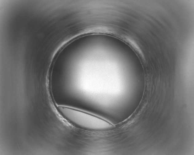 X0000076230944200609280944