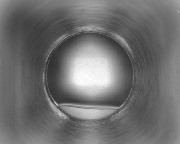 X0000076230946200609280944